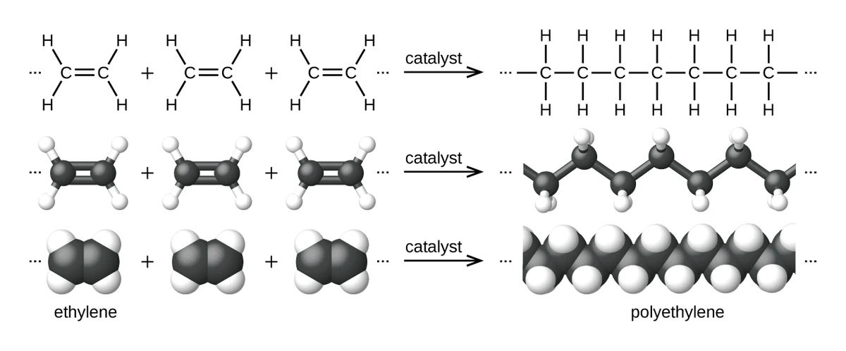 Addition polymerisation of ethene to poly(ethene): many ethene monomers, each with a C=C double bond, open their double bonds and join into a long saturated chain (shown as displayed, ball-and-stick and space-filling models)