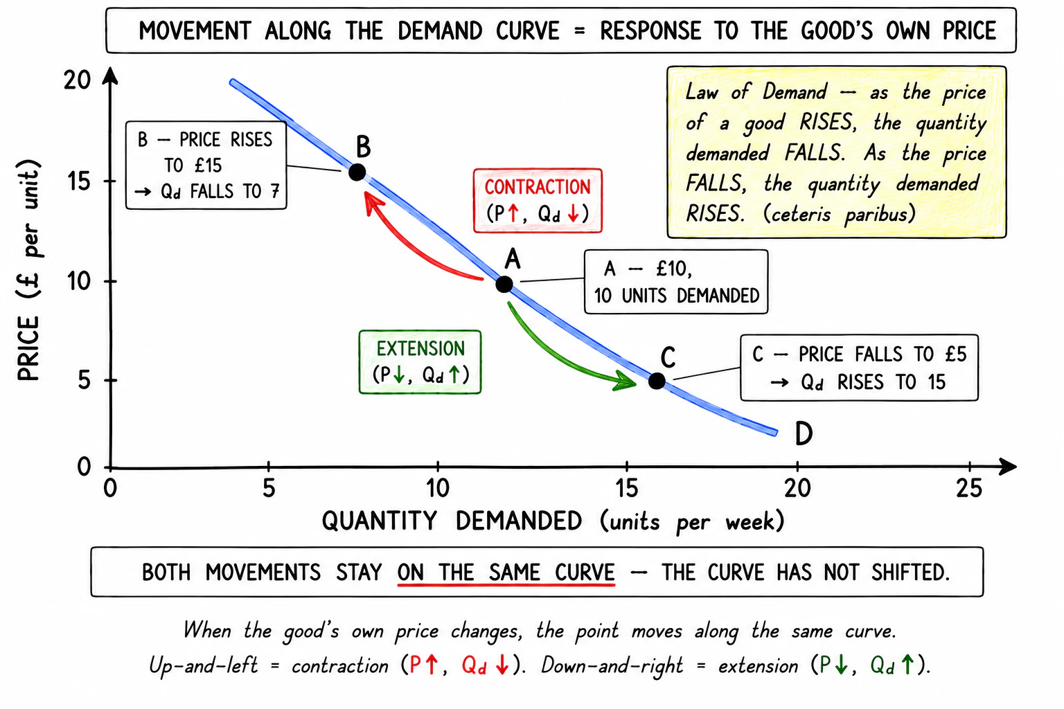 Demand curve: downward-sloping price-quantity relationship; movement along it shows contraction and extension