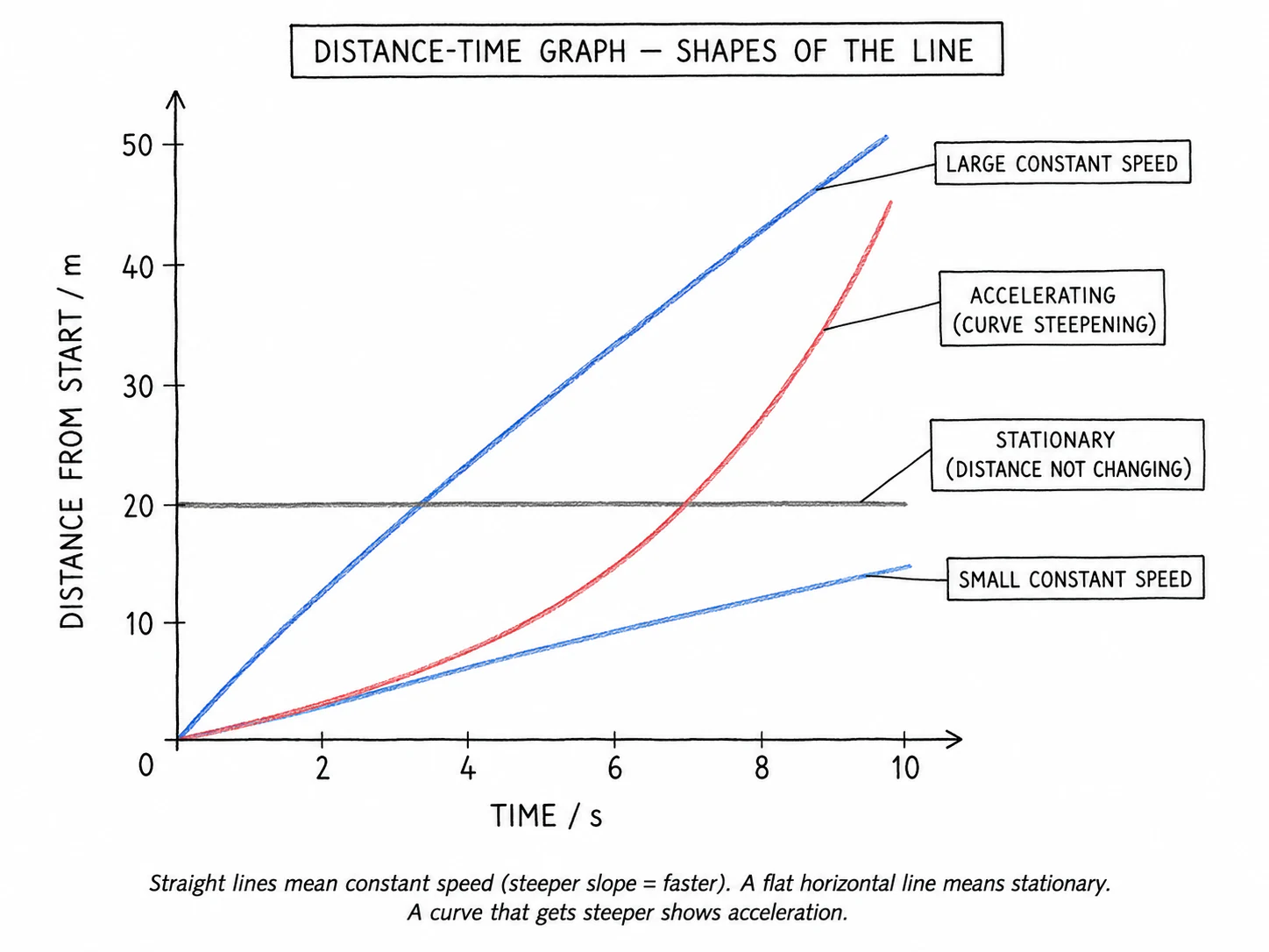 A single distance-time graph showing four lines on the same axes — a steep straight line, a gentle straight line, a flat horizontal line, and a curve that gets steeper with time — to teach how slope shape encodes constant speed, stationary, and changing speed