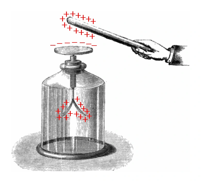 A positively charged rod held near the top plate of a gold-leaf electroscope; electrons are drawn up to the plate leaving it negative, while the gold leaves become positive and push apart, showing charge separation induced by the nearby rod