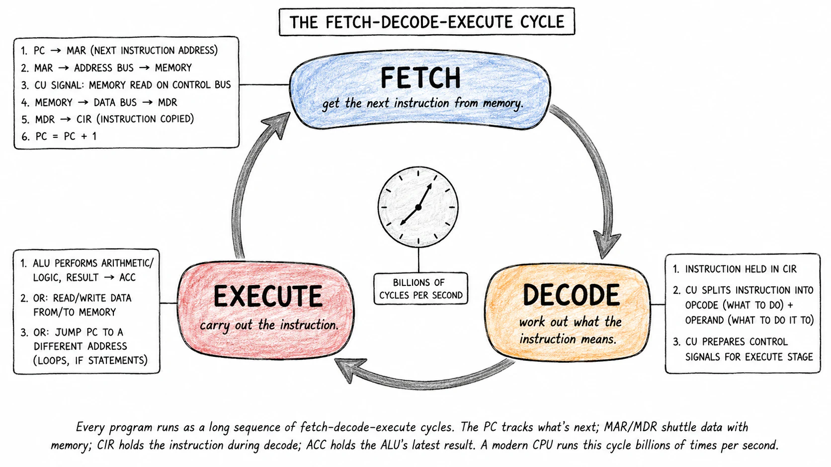 A circular flow diagram showing the three stages of the fetch-decode-execute cycle. Each stage is a labelled segment with its substeps listed in small text inside: Fetch (PC → MAR → bus → MDR → CIR, PC++); Decode (split opcode + operand); Execute (ALU performs operation, ACC stores result, or PC jumps). Arrows connect them in a loop. A small "Clock" icon at the centre indicates the cycle repeats billions of times per second
