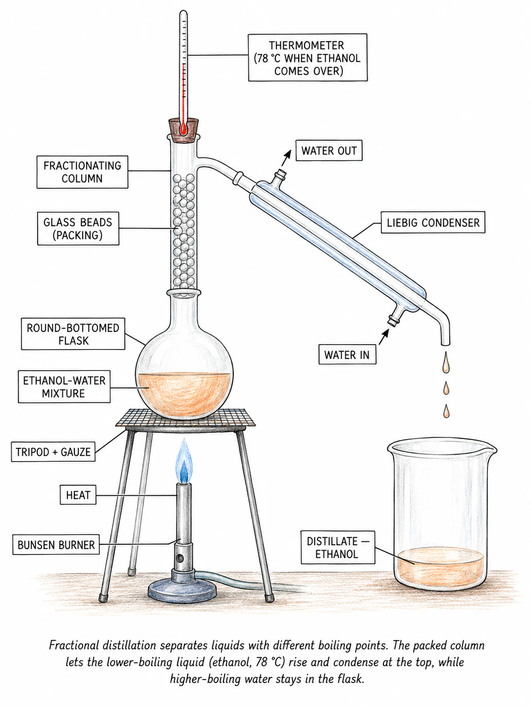 Fractional distillation apparatus