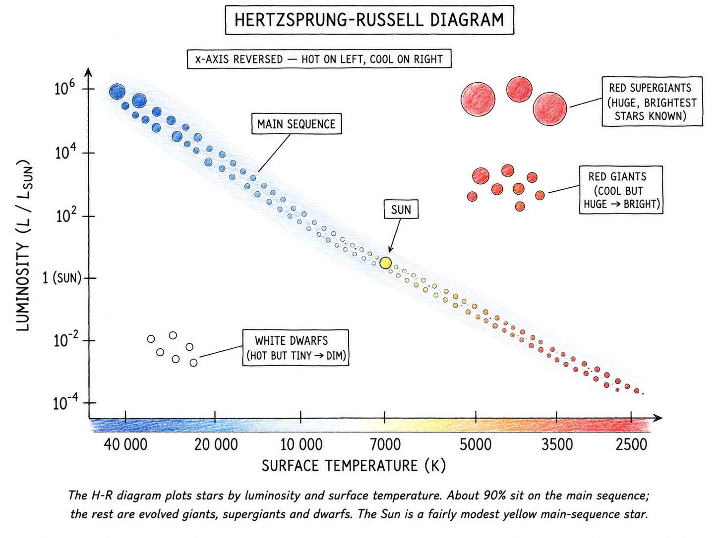 Hertzsprung-Russell diagram: luminosity against surface temperature (axis reversed). Main-sequence band runs diagonally from hot-bright to cool-dim, with white dwarfs in the lower-left, red giants in the upper-right, red supergiants further up, and the Sun marked on the main sequence