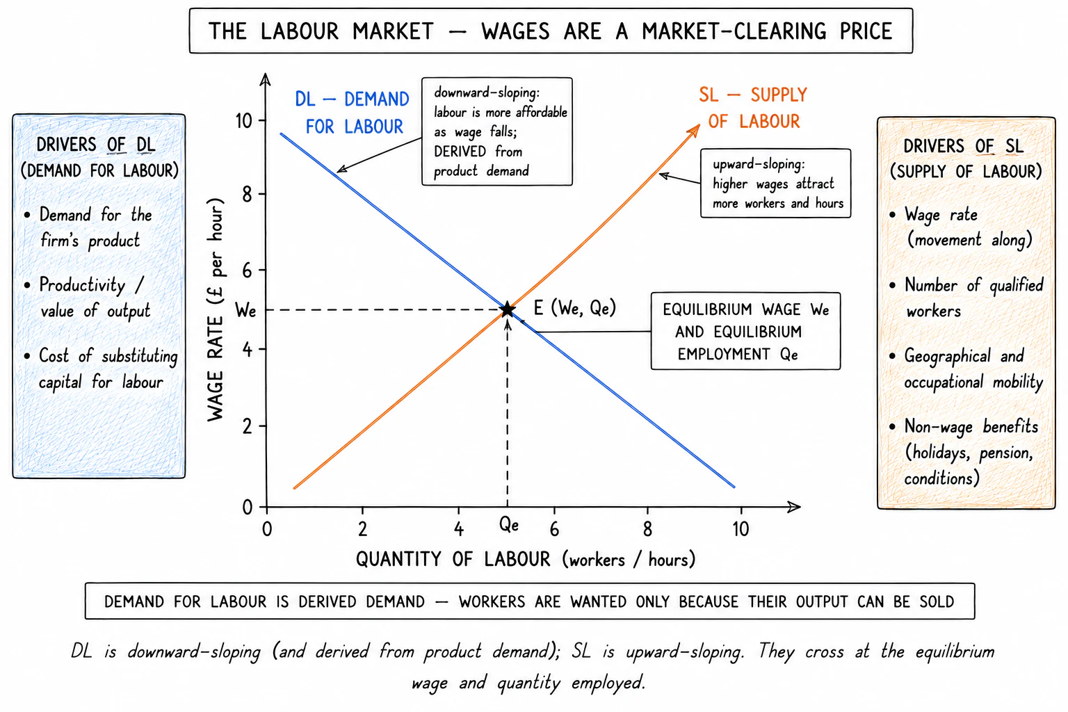 Labour market: demand and supply of labour determine the equilibrium wage and quantity employed