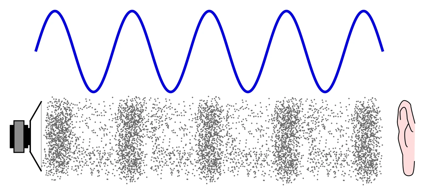 Longitudinal sound wave from a loudspeaker: air particles bunch into compressions and spread into rarefactions travelling towards an ear, with a sine curve above showing the matching pressure variation and one wavelength spanning the distance between adjacent compressions.