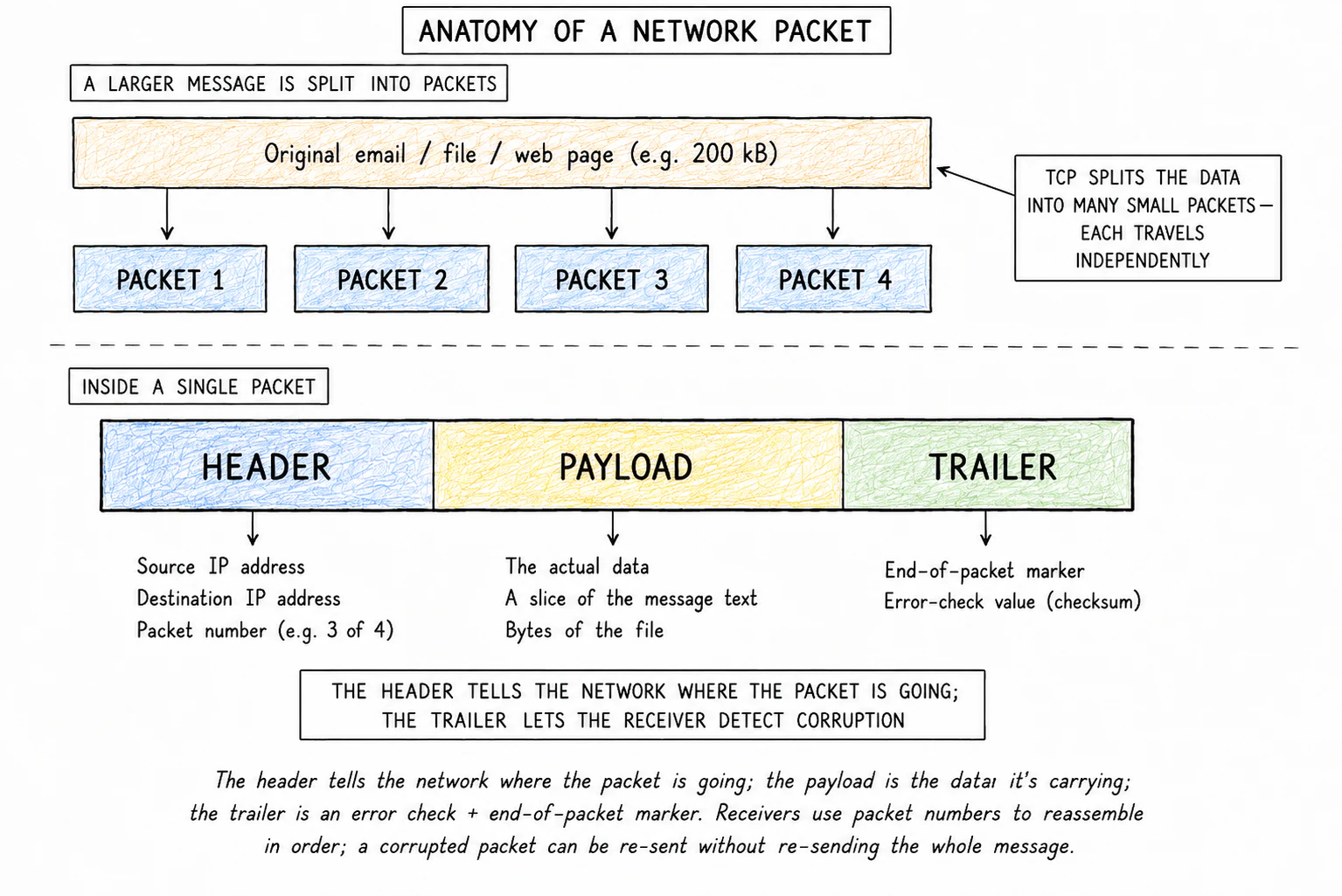 A single network packet drawn as a horizontal bar in three coloured sections (Header on the left, Payload in the middle, Trailer on the right). Each section is labelled with the fields it contains: header → source IP, destination IP, packet number; payload → "actual data"; trailer → end-of-packet marker, error check. A larger message is shown above, broken into four such packets