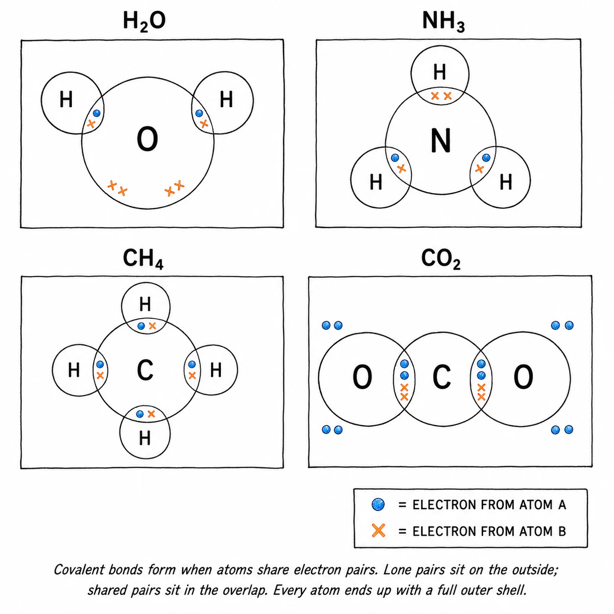 Dot-and-cross diagrams for the four polyatomic molecules H₂O, NH₃, CH₄ and CO₂, arranged in a labelled 2 × 2 grid
