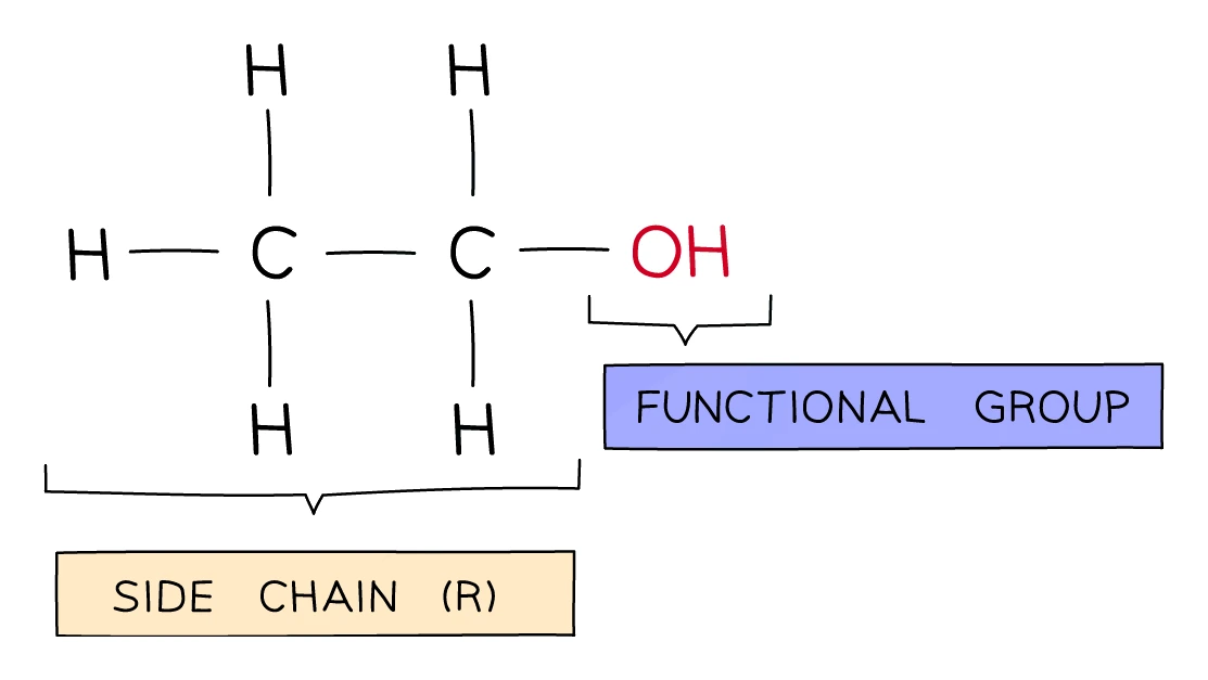 Ethanol molecule labelled to show the −OH hydroxyl functional group and the carbon side chain (R)