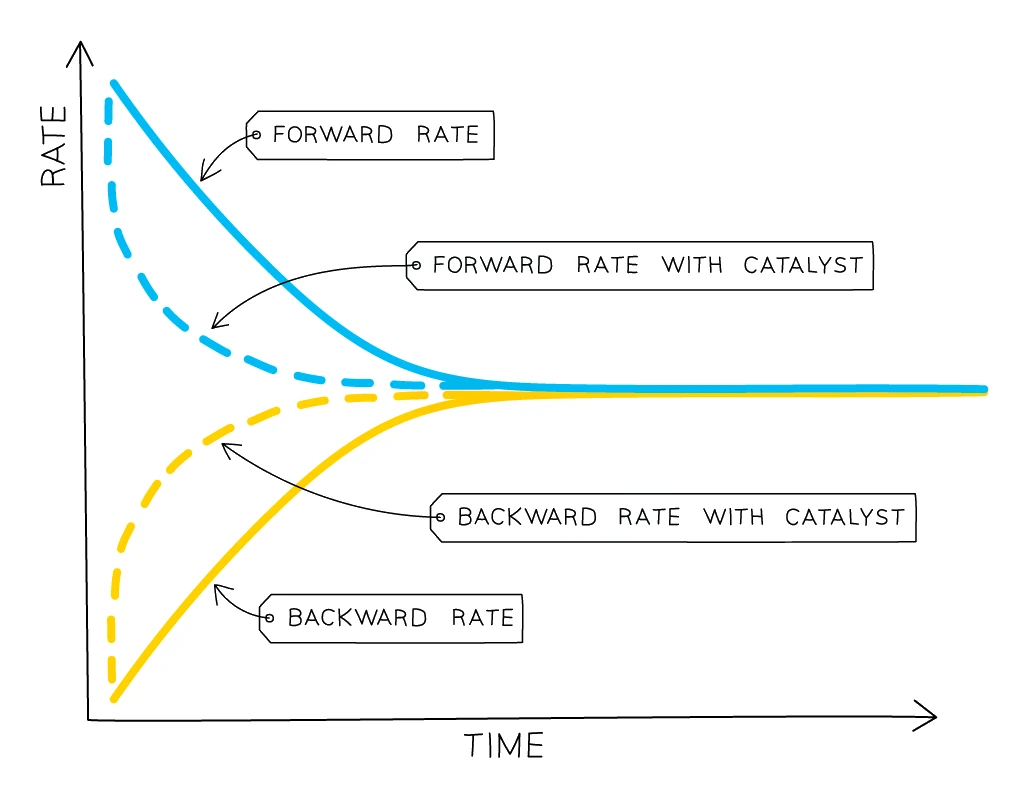 Rate against time graph comparing a reaction with and without a catalyst: the dashed catalysed forward and backward rates meet sooner than the solid uncatalysed rates, so equilibrium is reached faster, but both reach the same final equilibrium rate so the position of equilibrium is unchanged