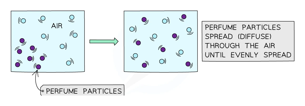 Perfume particles diffusing from a crowded region on one side of a box until they are evenly spread through the air