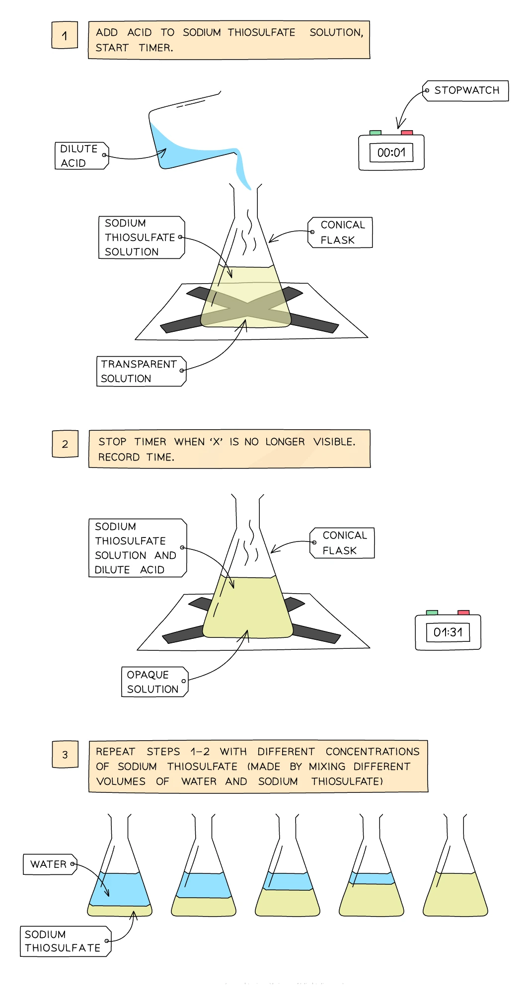 The disappearing-cross experiment: acid is added to sodium thiosulfate solution over a paper cross and the timer started while the solution is still transparent, the timer is stopped when the yellow-sulfur cloudiness makes the cross invisible, and the run is repeated with different concentrations made by mixing different volumes of water and sodium thiosulfate