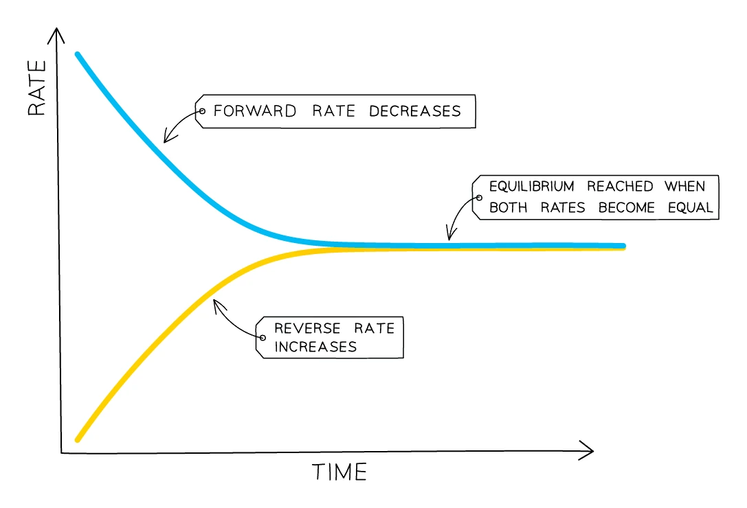 Graph of reaction rate against time: the forward rate starts high and decreases while the reverse rate starts at zero and increases, until the two lines meet and level off where equilibrium is reached with both rates equal