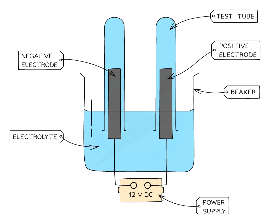 Apparatus for electrolysing an aqueous solution — two inert electrodes in a beaker of electrolyte connected to a 12 V d.c. supply, with an inverted test tube over each electrode to collect the gas produced