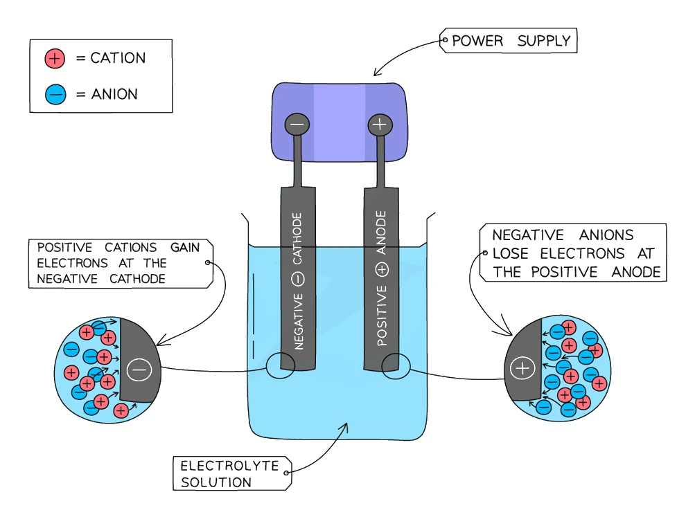 Electrode processes in an electrolysis cell — positive cations gain electrons at the negative cathode (reduction) while negative anions lose electrons at the positive anode (oxidation)