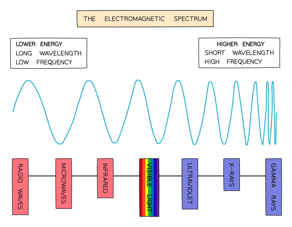 The seven bands of the electromagnetic spectrum in a horizontal row from radio waves on the left (lower energy, long wavelength, low frequency) through microwaves, infrared, visible light, ultraviolet and X-rays to gamma rays on the right (higher energy, short wavelength, high frequency), with a wave drawn above showing wavelength decreasing from left to right