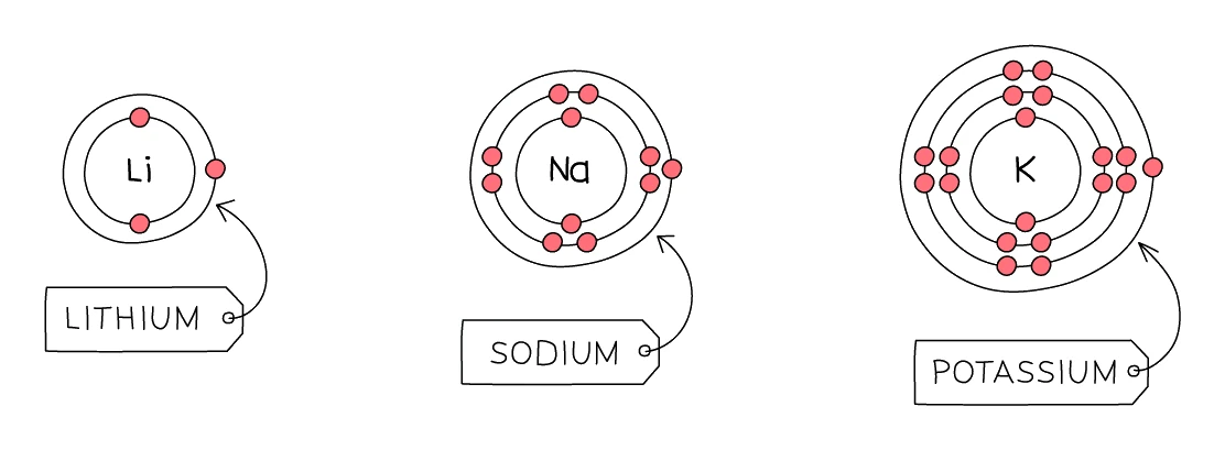 Electron shell diagrams of lithium (2,1), sodium (2,8,1) and potassium (2,8,8,1), each showing a single electron in the outermost shell