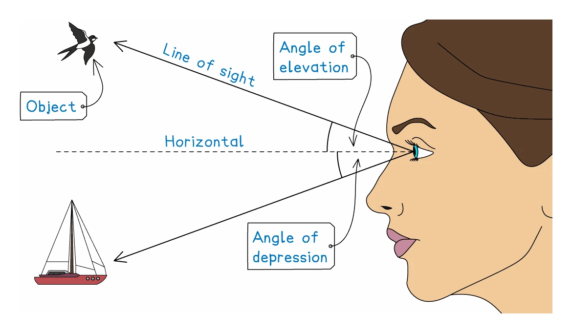 An observer's eye with a dashed horizontal line drawn from it: the line of sight up to a bird makes the angle of elevation above that horizontal, and the line of sight down to a boat makes the angle of depression below it