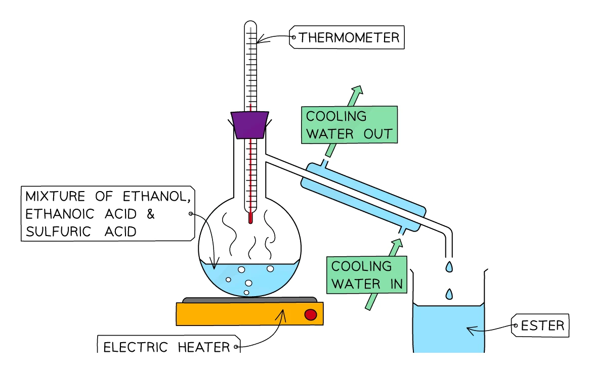 Apparatus for preparing ethyl ethanoate: a flask holding the mixture of ethanol, ethanoic acid and sulfuric acid heated on an electric heater, with a thermometer and a water-cooled condenser (cooling water in and out) distilling the ester into a collection beaker