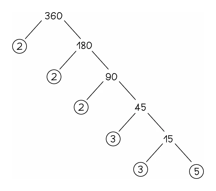 Factor tree for 360: 360 branches into a circled 2 and 180, 180 branches into a circled 2 and 90, 90 into a circled 2 and 45, 45 into a circled 3 and 15, and 15 into a circled 3 and a circled 5
