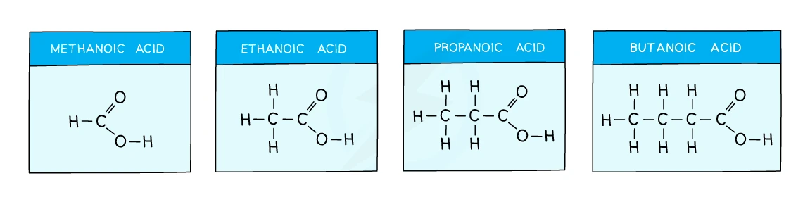 Displayed formulae of the first four carboxylic acids — methanoic, ethanoic, propanoic and butanoic acid — each ending in the −COOH carboxyl group with its C=O double bond and O−H bond