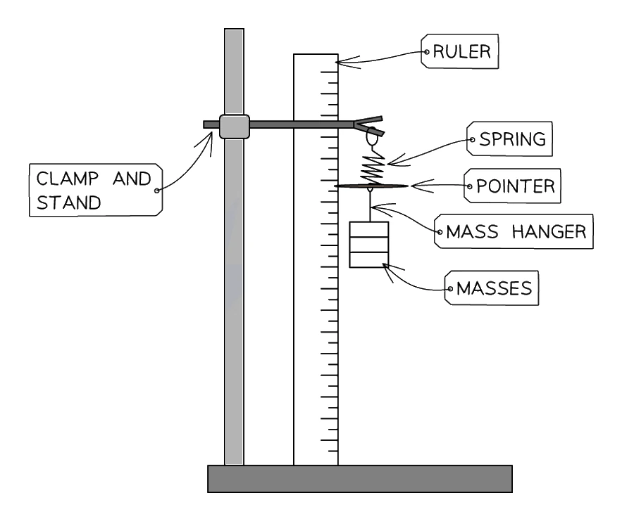 Apparatus for investigating force and extension: a spring hung from a clamp and stand, with a pointer fixed to the bottom of the spring read against a vertical ruler, and a mass hanger carrying slotted masses to stretch the spring