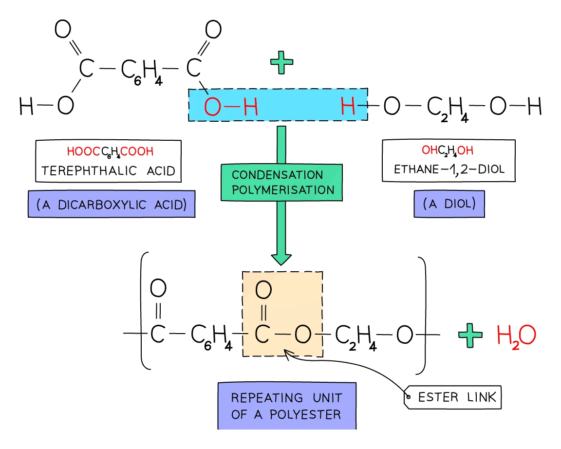 Formation of terylene by condensation polymerisation: terephthalic acid (a dicarboxylic acid) reacts with ethane-1,2-diol (a diol); the −OH of the acid and an −H of the alcohol are lost as water, forming the ester link (−COO−) of the polyester repeat unit plus H₂O