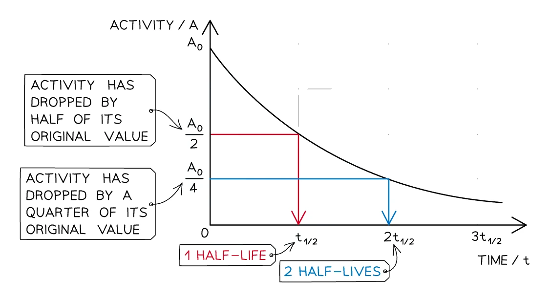 Activity-time decay curve: activity falls from A₀ along a smooth exponential curve, dropping to A₀/2 after one half-life (t½) and to A₀/4 after two half-lives (2t½)
