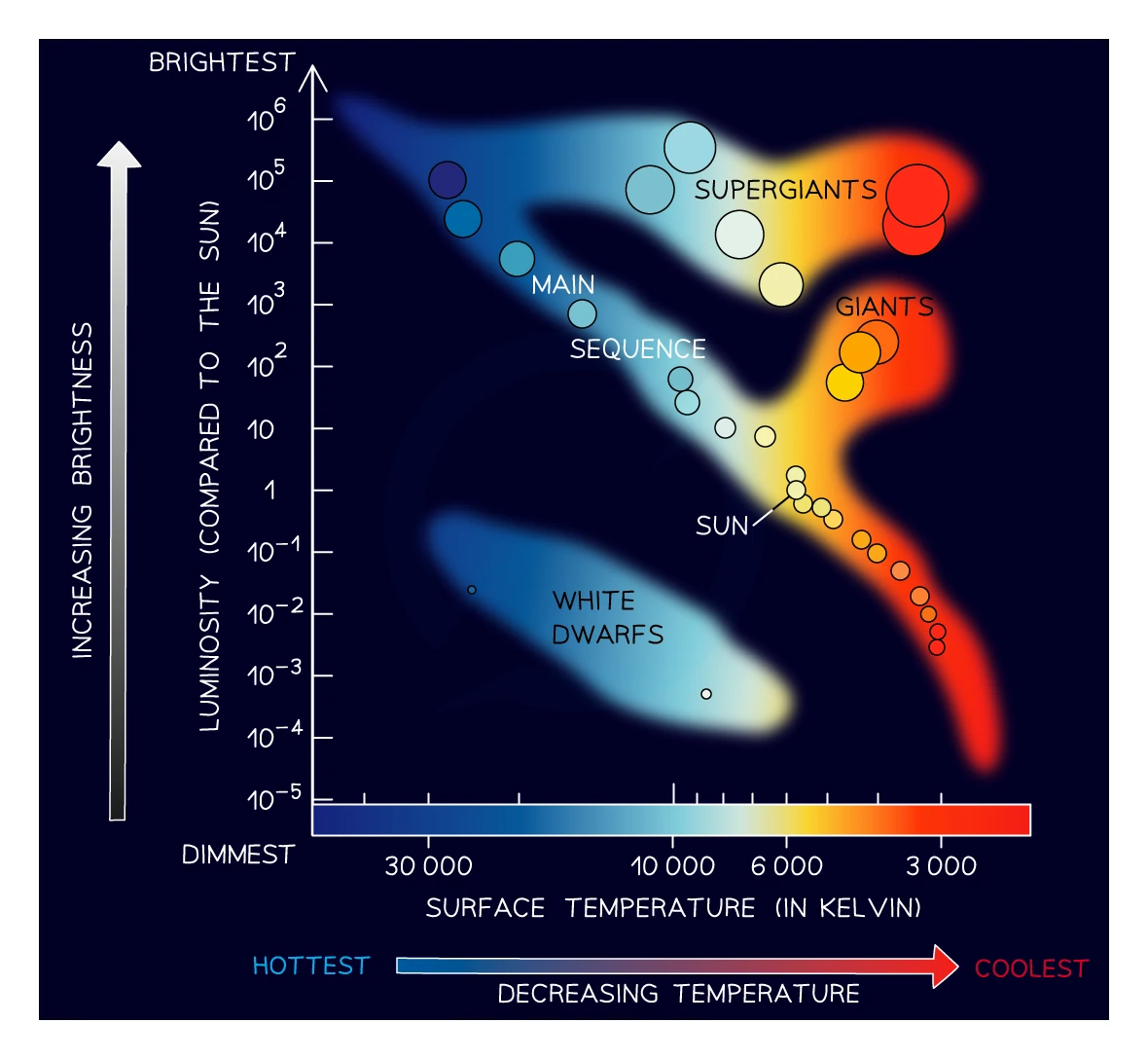 Hertzsprung-Russell diagram plotting luminosity (compared to the Sun) up the vertical axis against surface temperature on the horizontal axis, which decreases from hot blue on the left to cool red on the right. The main-sequence band runs diagonally from top-left to bottom-right, white dwarfs cluster at the lower-left (hot but dim), giants and supergiants sit at the upper-right (cool but bright), and the Sun is marked on the main sequence