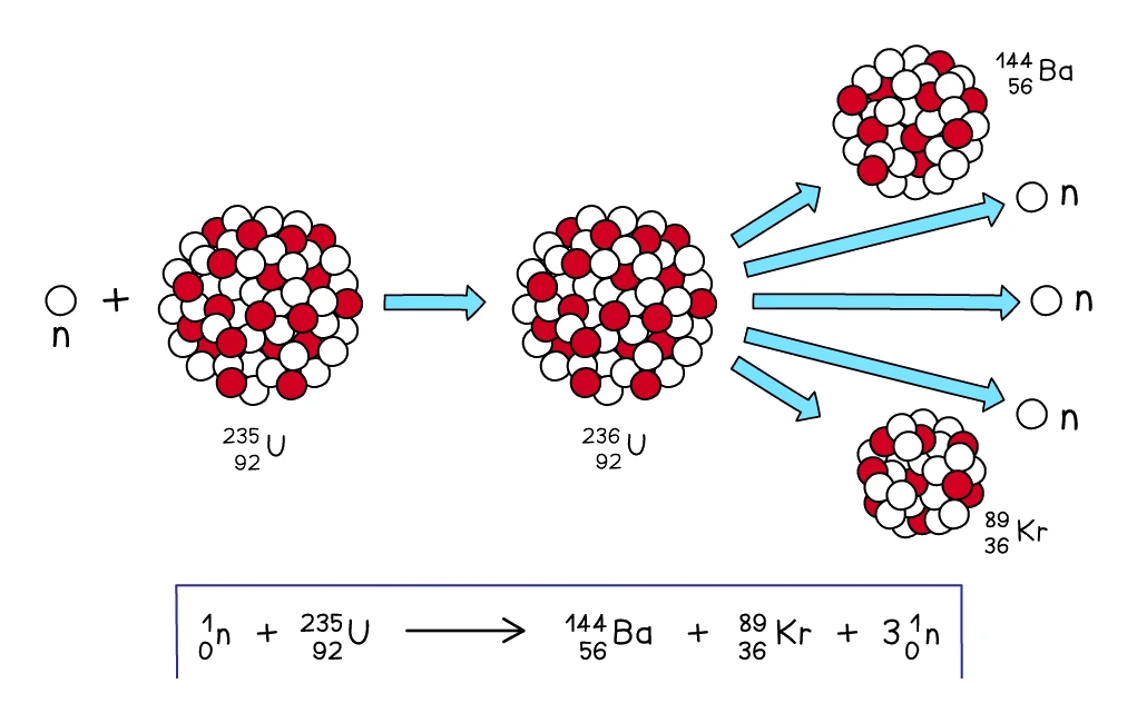 Induced fission of uranium-235: an incoming neutron is absorbed to form an unstable U-236 nucleus, which splits into two daughter nuclei (barium-144 and krypton-89), three released neutrons and gamma radiation