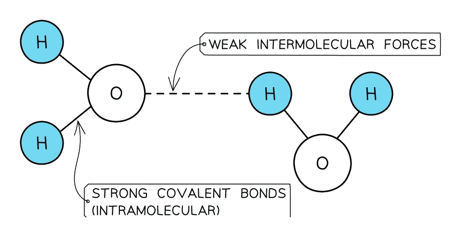 Two water molecules showing strong covalent bonds within each molecule and weak intermolecular forces between the molecules