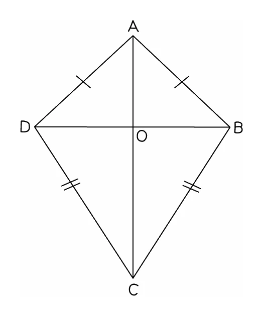 A kite ABCD with the two short sides AB and AD marked equal and the two long sides CB and CD marked equal, and its diagonals crossing at right angles at O, the long diagonal AC cutting the short one in half