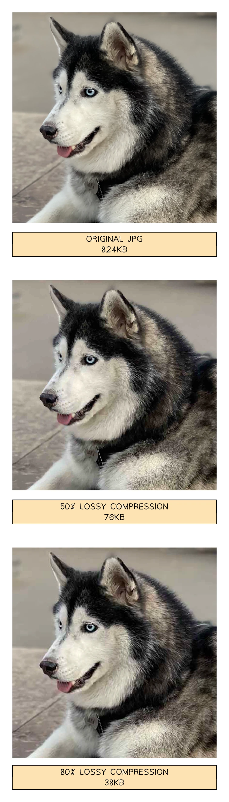The same photograph saved with increasing lossy JPEG compression: the original at 824 KB, then 76 KB, then 38 KB, with the file size falling sharply as visible detail is progressively lost
