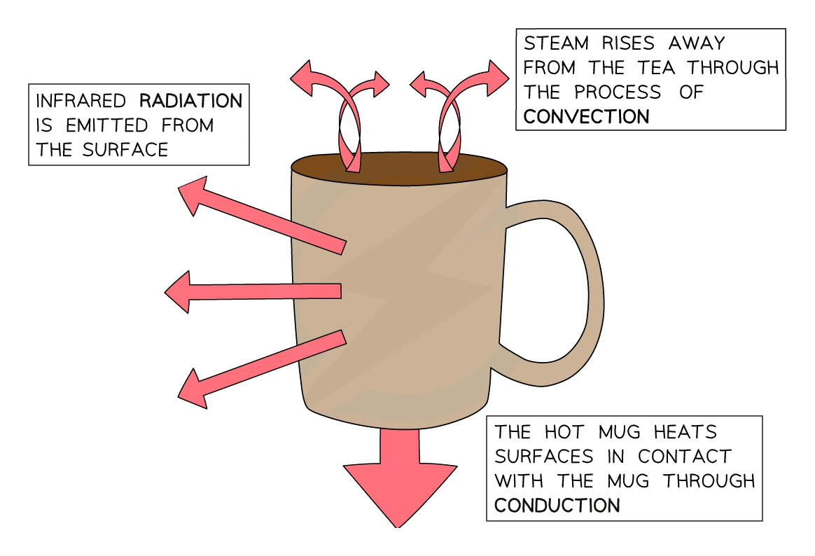 A hot mug losing thermal energy by all three modes at once: conduction into the surface it stands on, convection as steam rises away from the top, and infrared radiation emitted from its surface