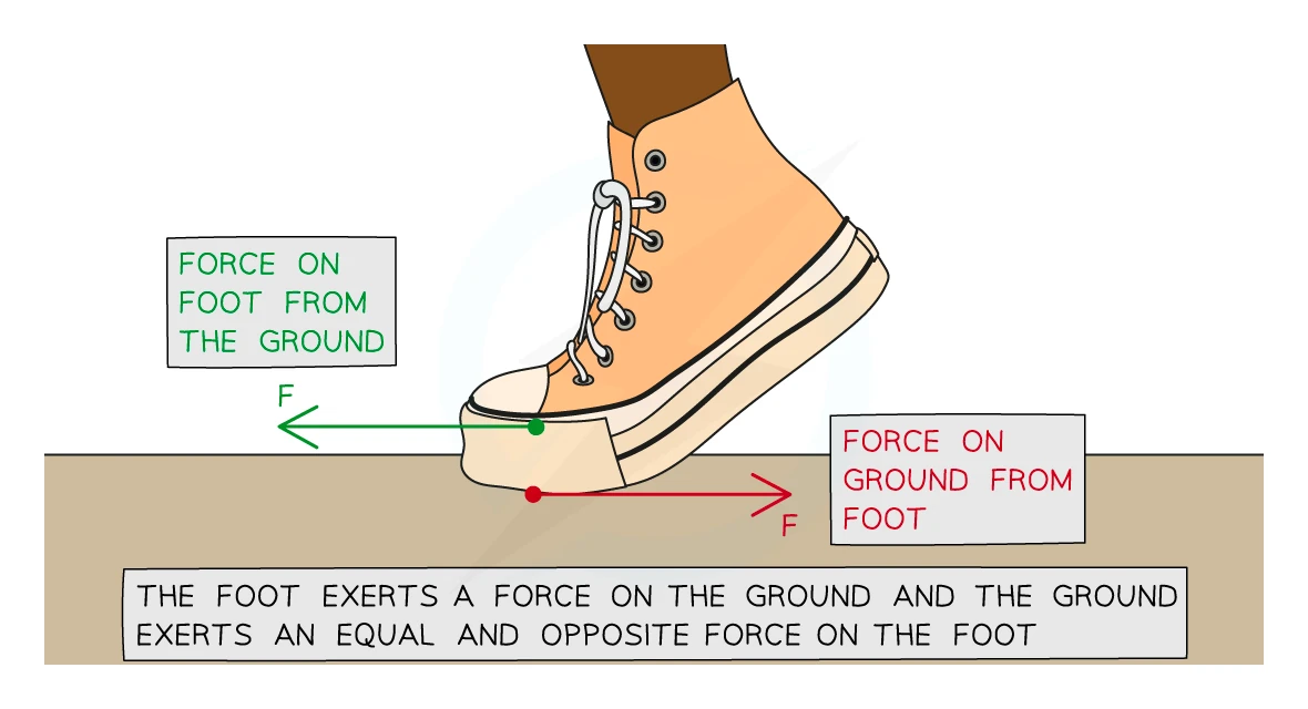 A foot pressing on the ground during walking, showing a Newton's third-law pair: the foot exerts a force on the ground (red arrow pointing forwards) and the ground exerts an equal and opposite force on the foot (green arrow pointing backwards)