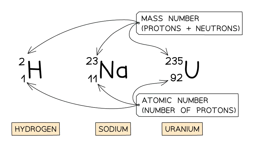 Nuclear notation for hydrogen, sodium and uranium, showing the mass number (protons + neutrons) written at the top left of each element symbol and the atomic number (number of protons) written at the bottom left