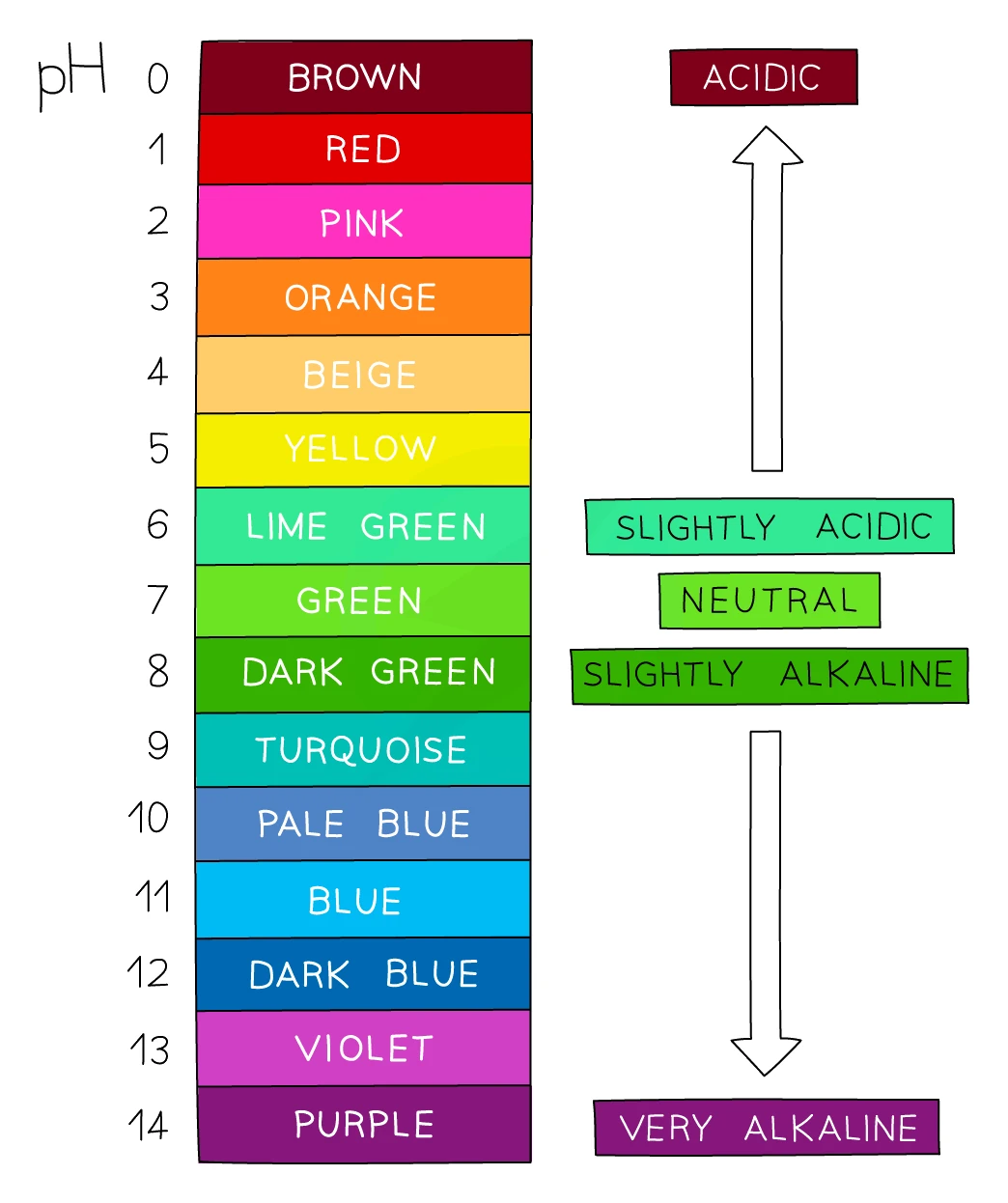 Universal indicator colour chart against the pH scale from 0 to 14: brown, red and pink at the acidic end, green at neutral pH 7, and blue, violet and purple at the alkaline end, labelled acidic, neutral and alkaline
