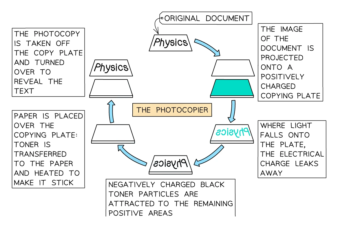 The photocopier cycle: an image of the document is projected onto a positively charged copying plate, light makes the charge leak away from the white areas, negatively charged toner sticks to the remaining positive areas, then the toner is transferred to paper and heated to fix it