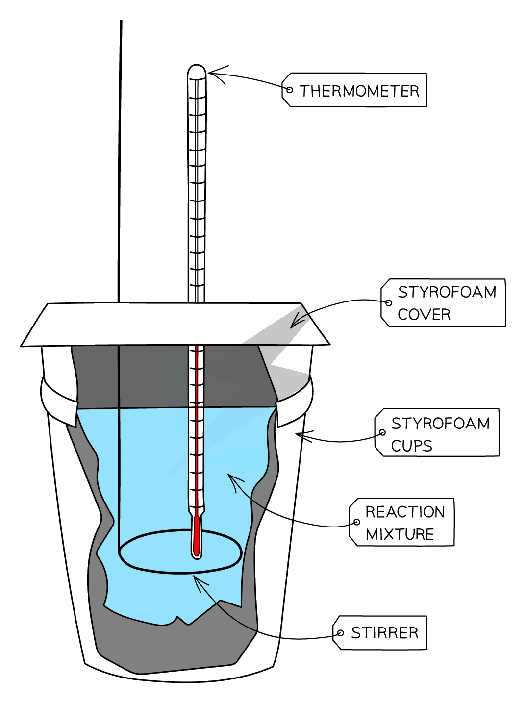 Polystyrene-cup calorimeter for the practical: two nested styrofoam cups holding the reaction mixture, a styrofoam cover, a thermometer and a stirrer