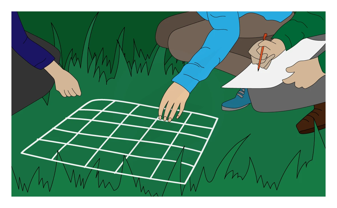 Two students using a square gridded quadrat frame placed on the ground in grassland, one counting the organisms inside the frame while the other records the results on a clipboard