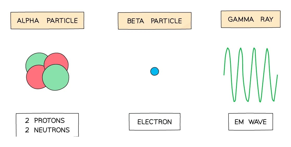 The nature of the three radiations: an alpha particle drawn as two protons and two neutrons, a beta particle drawn as a single electron, and a gamma ray drawn as an electromagnetic wave