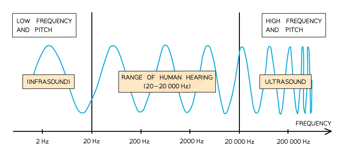 Frequency scale from 2 Hz to 200 000 Hz: below 20 Hz is infrasound (low frequency and pitch), the 20–20 000 Hz band is the range of human hearing, and above 20 000 Hz is ultrasound (high frequency and pitch).