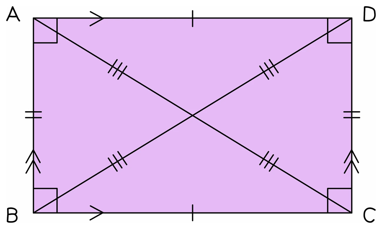 A rectangle ABCD with both diagonals drawn meeting at E: the two diagonals are marked equal to each other and each is cut exactly in half at E, and all four corners are right angles