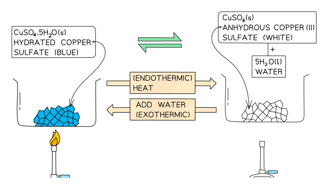 Reversible reaction of copper(II) sulfate: heating blue hydrated CuSO4.5H2O is endothermic and drives off water to leave white anhydrous CuSO4; adding water reverses the change and is exothermic