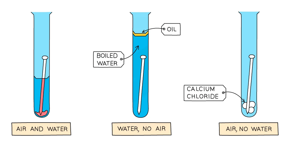 Three test tubes investigating rusting conditions: iron nail in air and water (rusts), in boiled water sealed with oil (water, no air), and in air over calcium chloride (air, no water)