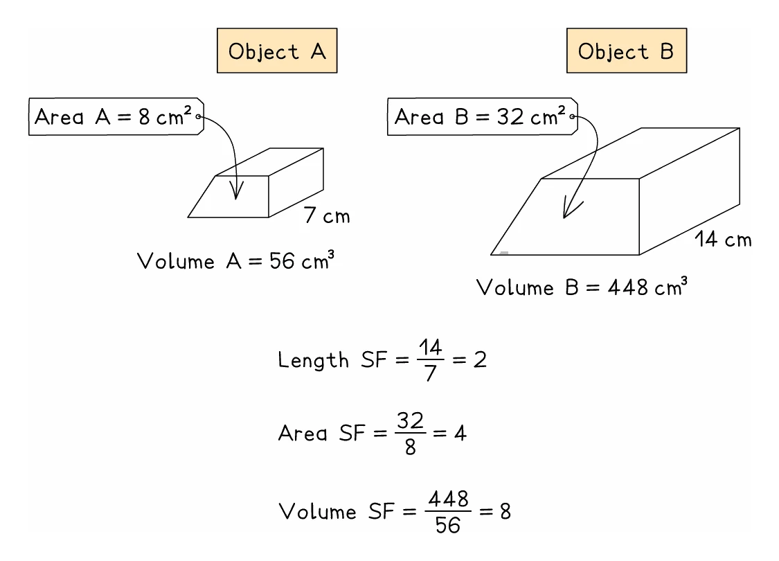 Two similar prisms compared: object A has cross-sectional area 8 cm², length 7 cm and volume 56 cm³, object B has area 32 cm², length 14 cm and volume 448 cm³, so the length scale factor is 2, the area scale factor is 4 and the volume scale factor is 8