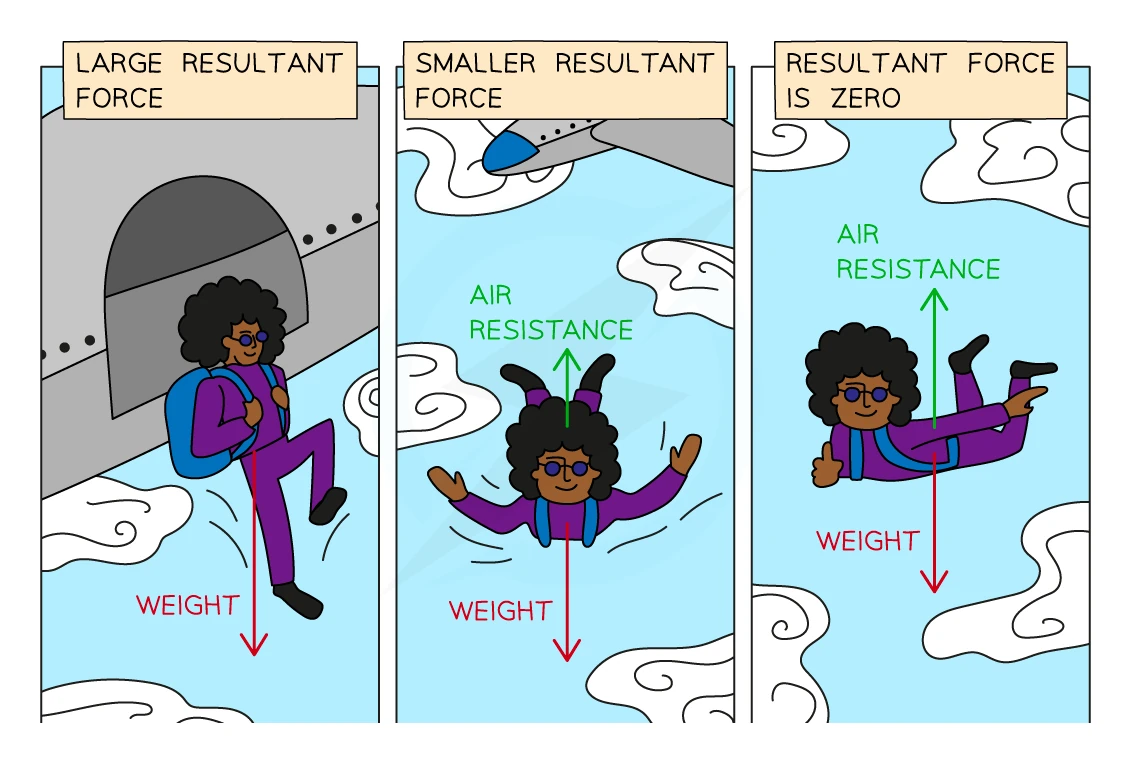 A three-stage force diagram of a skydiver falling: at the moment of release the downward weight arrow dominates with no air resistance, so there is a large resultant force; partway down a shorter upward air resistance arrow appears alongside weight, giving a smaller resultant force; at terminal velocity the upward air resistance arrow equals the downward weight arrow, so the resultant force is zero