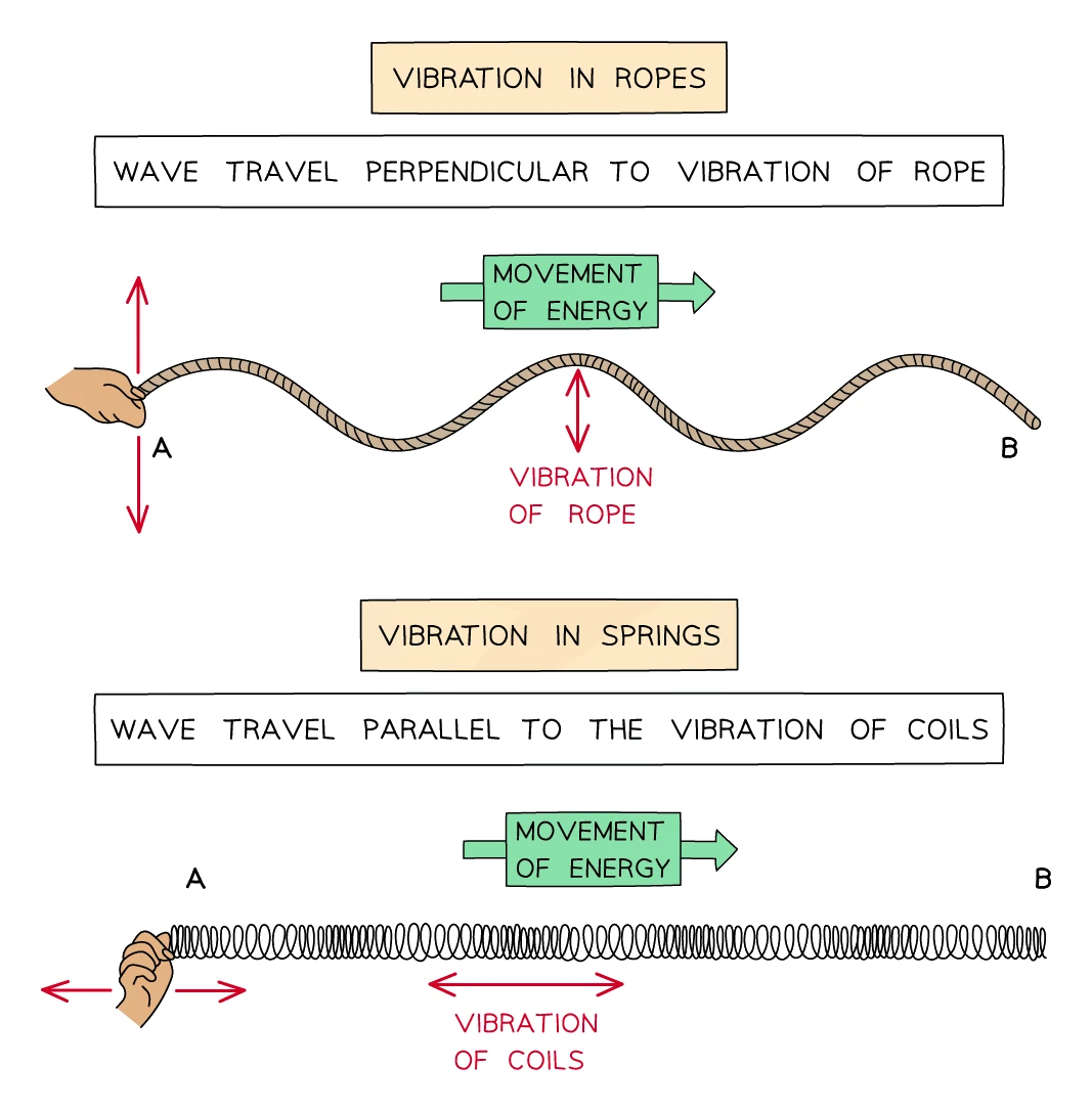 A transverse wave on a rope with the vibration perpendicular to the direction of energy transfer, shown above a longitudinal wave on a spring with the vibration of the coils parallel to the direction of energy transfer