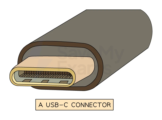 A USB-C connector: the small, oval, symmetrical plug that can be inserted either way up, used by modern phones, laptops and peripherals