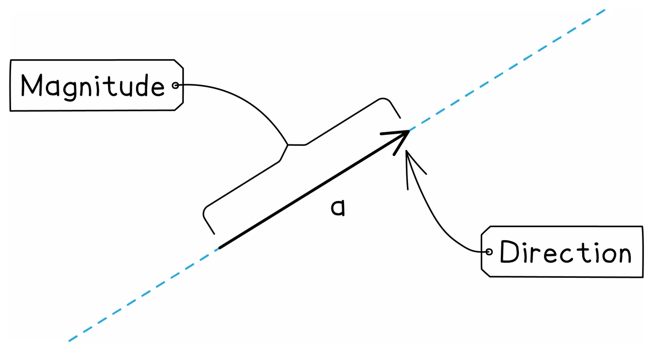 A single vector a drawn as an arrow along a dashed line, labelled to show that its length is its magnitude and the arrowhead is its direction, the two things that together describe it