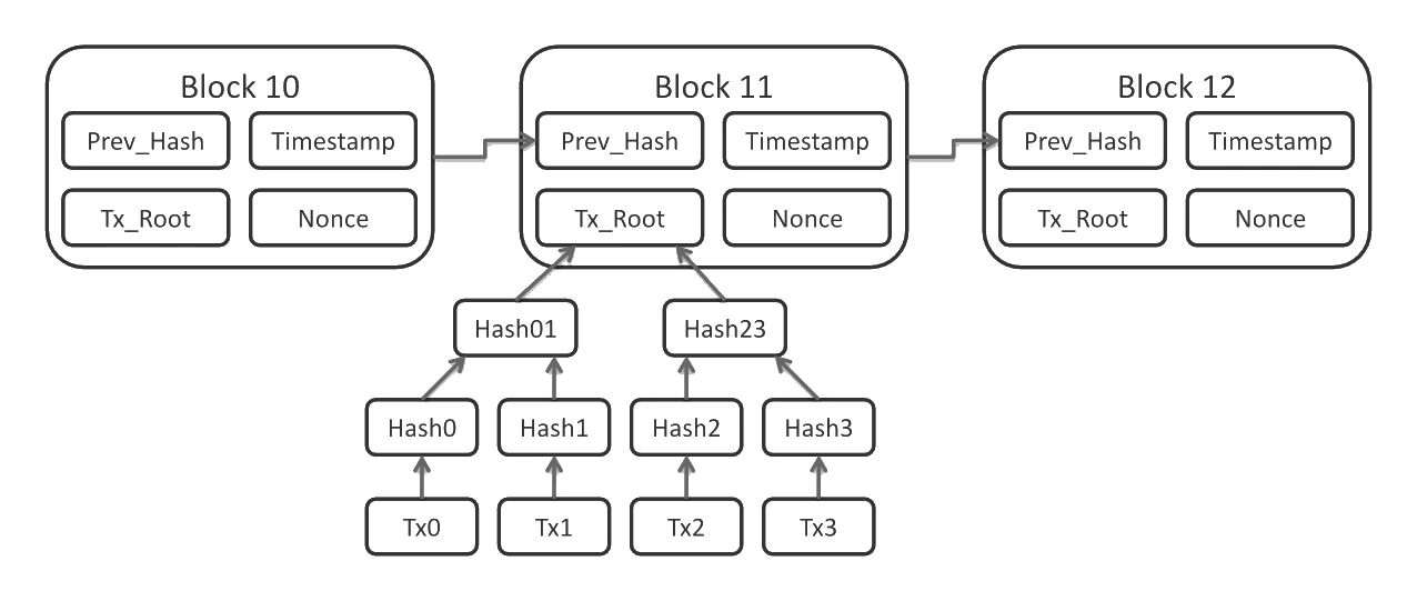Three blocks (Block 10, Block 11, Block 12) drawn left-to-right. Each block holds four fields: Prev_Hash, Timestamp, Tx_Root and Nonce. An arrow runs from each block to the next block's Prev_Hash field, showing that every block stores the hash of the block before it so the chain is linked in order.